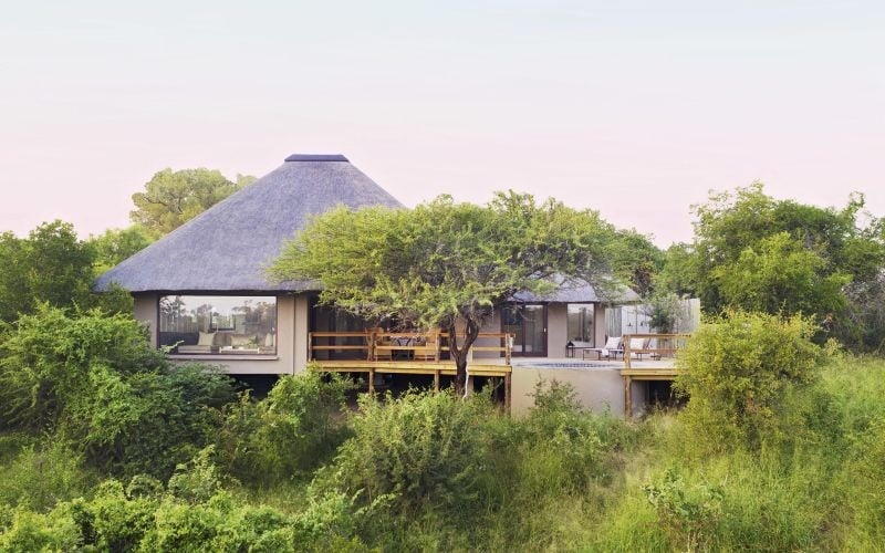 Londolozi Pioneer 7
